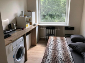 Cozy Paupio studio apartment for 2 people